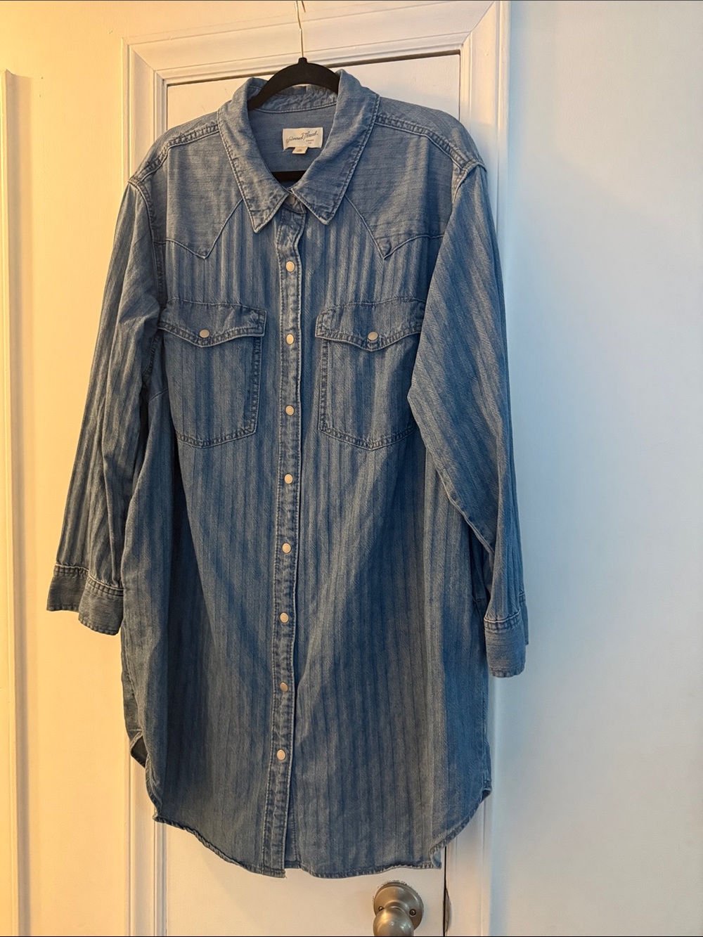 Universal Thread Woman’s Light Blue Denim Button-Front Dress